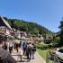 Trip to the Saxon Switzerland